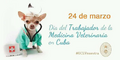 Miniatura de la versión del 19:02 17 mar 2024