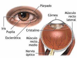 Neuromielitis óptica.jpg