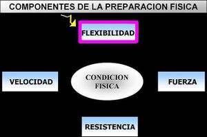 Flexibilidad.jpg