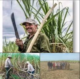 Movimientomillonario.png