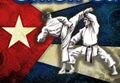 Miniatura de la versión del 10:59 4 ene 2021