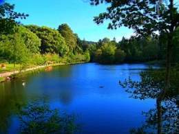 Lago castineira.jpg