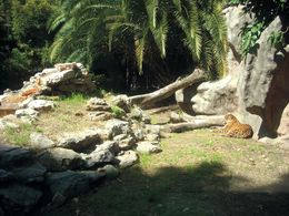 Zoologico-de-buenos-aires.jpg