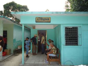 Bpalparras.jpg