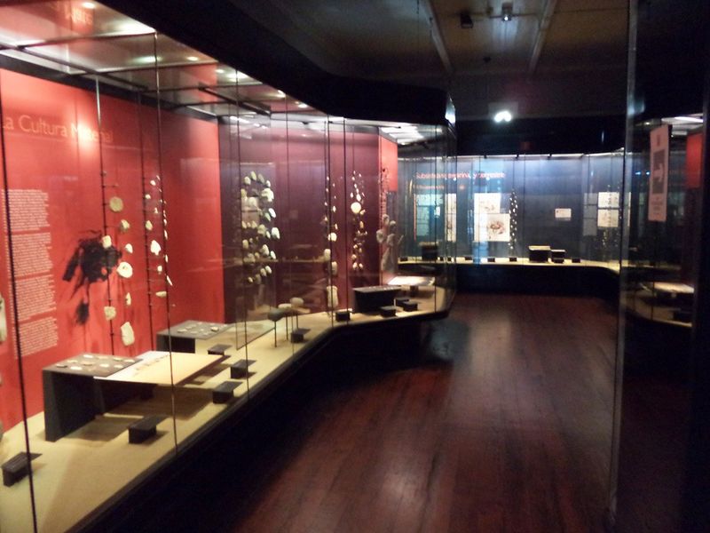 Archivo:Colecciones museo Antofagasta-vitrinas-2016.jpg