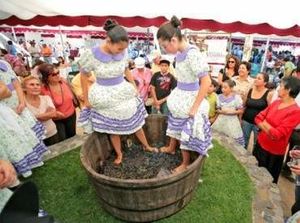 Festival de la Vendimia.jpg