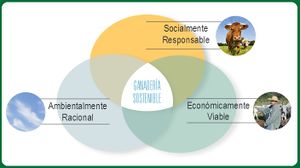 Ganadería sustentable.jpg
