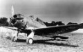 P-35-2.jpeg