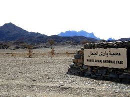 Wadi-El-Gemal-00.jpeg