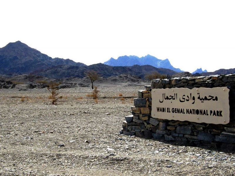 Archivo:Wadi-El-Gemal-00.jpeg