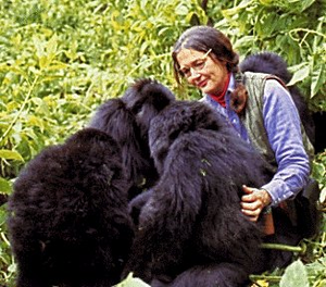 Dian fossey.PNG