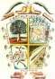 Escudo de Chacaltianguis