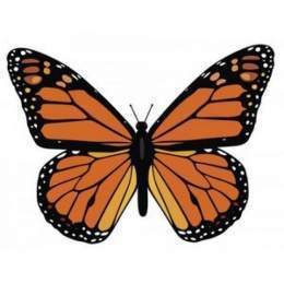 Mariposa-monarca.jpg