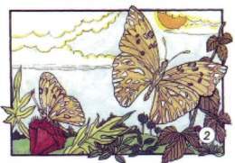 Mariposa Agraulis.jpg