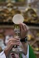 Miniatura de la versión del 11:50 27 oct 2020