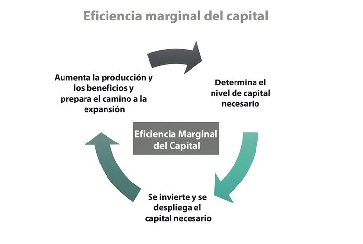 Eficiencia marginal del capital ciclo.jpg