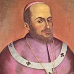 Gaspar de Villarroel.jpeg