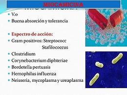 MIOCAMICINA+MIOCAMICINA+V.o+Buena+absorción+y+tolerancia.jpg