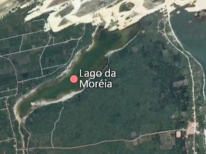 Moreira lago br.JPG