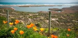Laguna Conchalí22.jpg