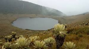 Santuario de Fauna y Flora Galeras.jpg
