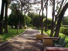 Cerro.jpg