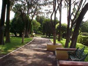 Cerro.jpg