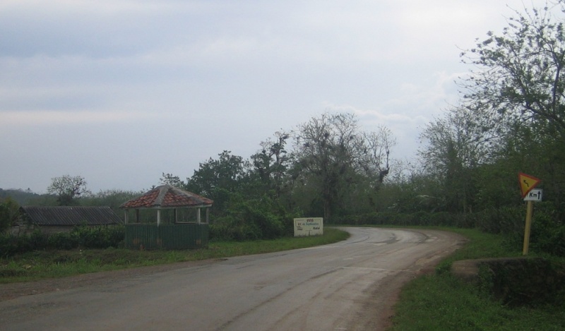 Archivo:IMG 0601.JPG