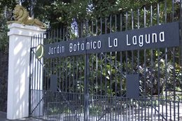 Jardc3adn-botc3a1nico-la-laguna-5.jpg