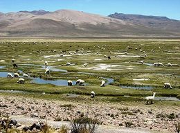 Salinas panorama.jpg