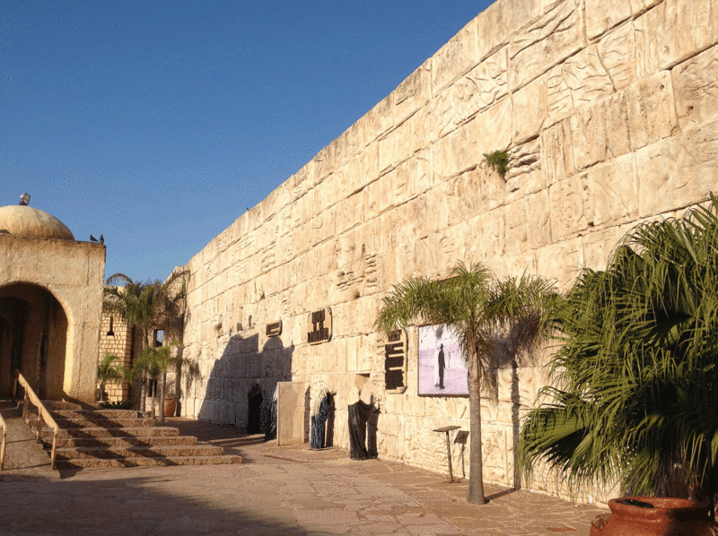 Archivo:Paseo TS.gif