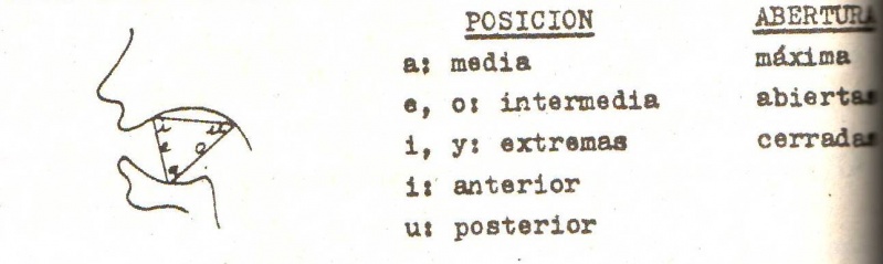 Archivo:Sonidos consonnticos.JPG