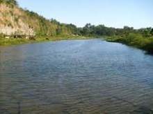 Aguacate.cauto.jpg