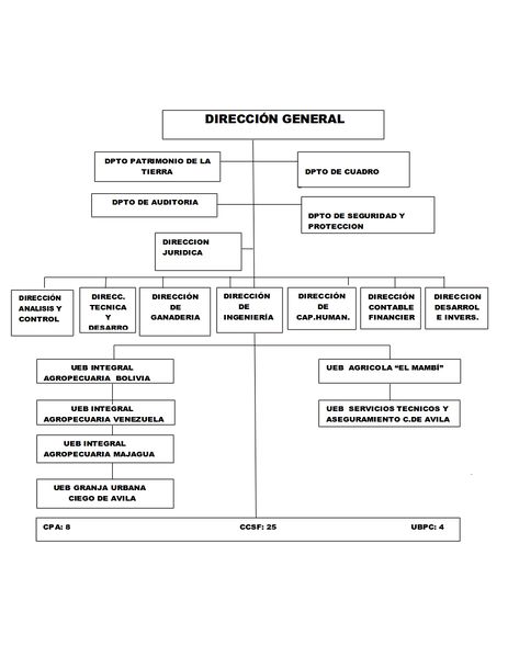 Archivo:ORGANIGRAMA EIACAV.jpeg