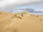 Parque Nacional Cabo Polonio1.jpg