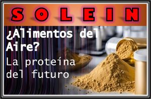 Solein proteína del aire.jpg