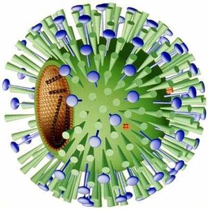 Virus-influenza.jpg