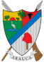 Escudo de Departamento de Arauca