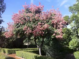 IMG 1114.jpg