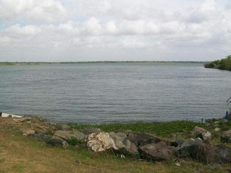 Archivo:Rio Damují.jpg