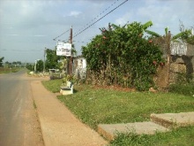 La Ceiba.JPG