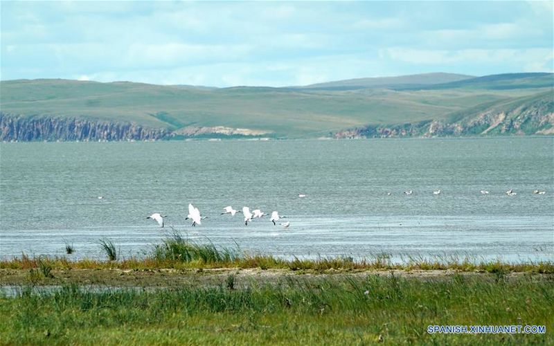 Archivo:Lago Hulun1.jpg