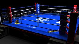 Ring-boxeo1-1024x576.jpg