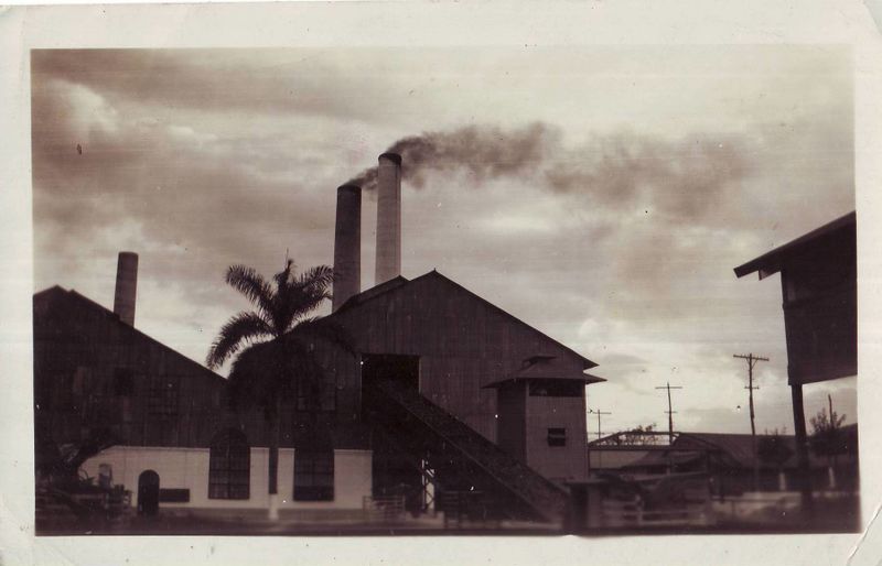 Archivo:Central Elia.JPG