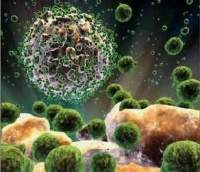 Virus sida.jpg