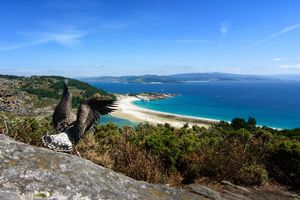 Islas-cies-mejores-parques-naturales-en-europa.jpg