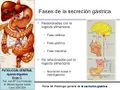 Miniatura de la versión del 11:13 24 oct 2017