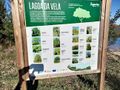 Lagoa de vela 1.jpg