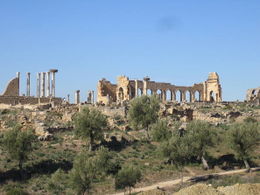 SitArqVolubilis.jpg