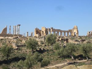 SitArqVolubilis.jpg